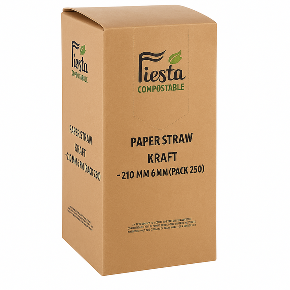 Box of Fiesta Compostable paper straws on a white background
