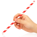 Mixed Striped Paper Straws 8" - Pack of 250-2