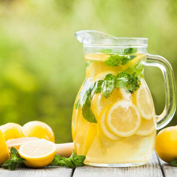 BarBits wooden cocktail reamer beechwood tool with ridged head for extracting juice from citrus fruits - BarBits.co.uk