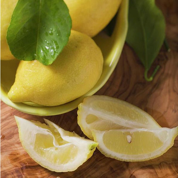 Lemon & Lime 8 Slice Wedger - BarBits.co.uk